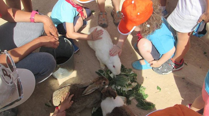 Educacion Medioambiental